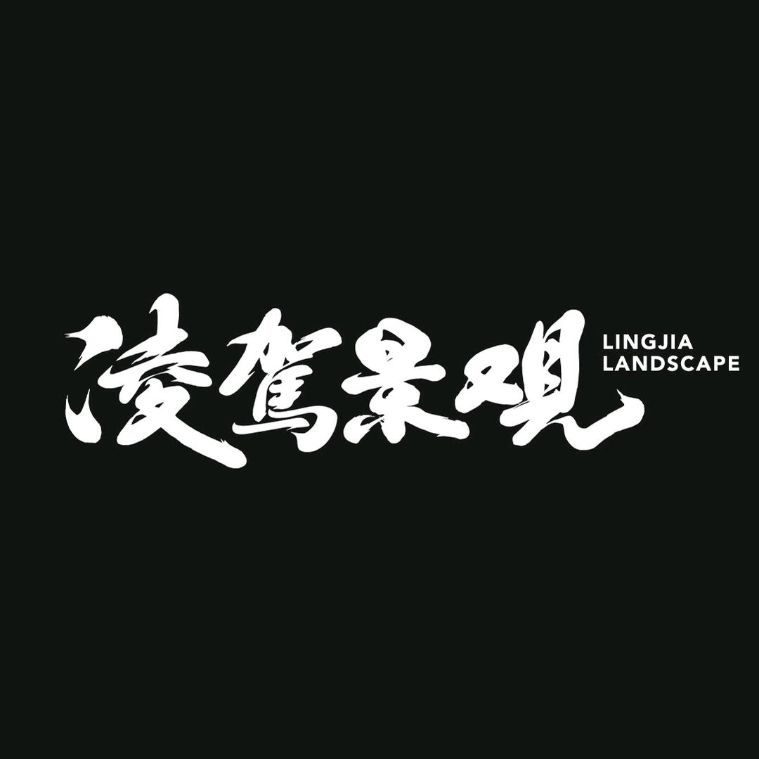 凌驾景观