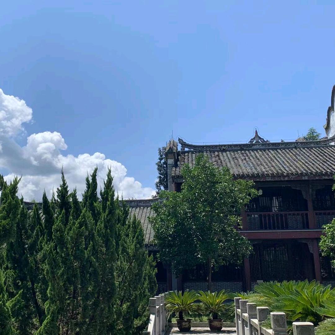 文大姐