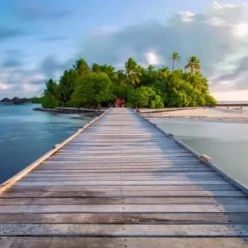 人间烟火四十三