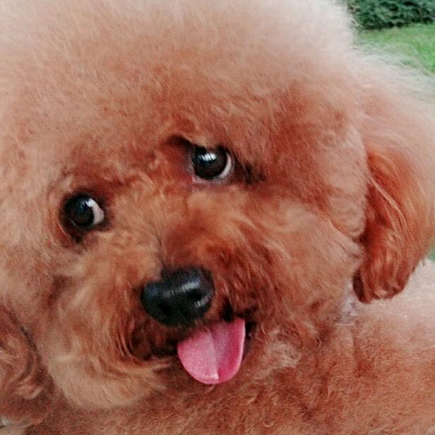 我叫卡卡
