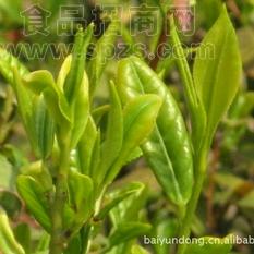 海青茶.菀豆香