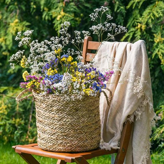 在平凡的日子里拼命挣扎