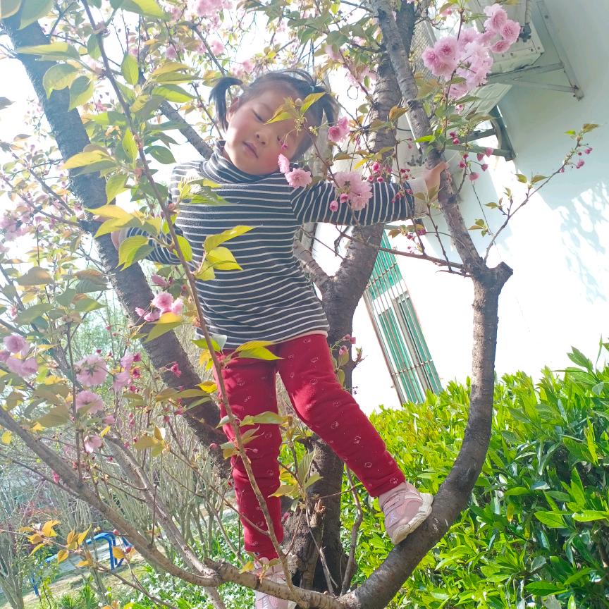 萱萱成长记