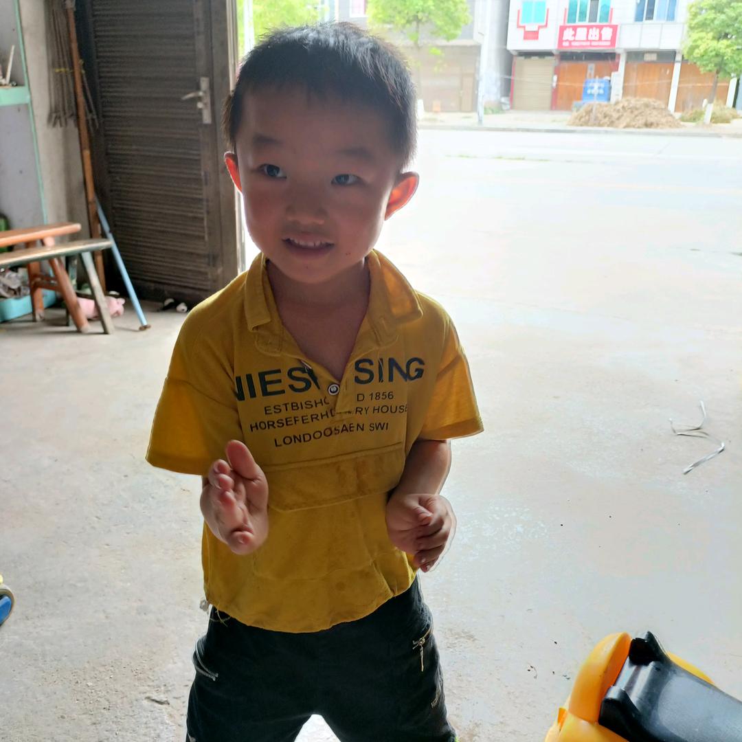 春燕归来