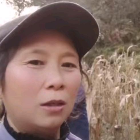 农村妈妈