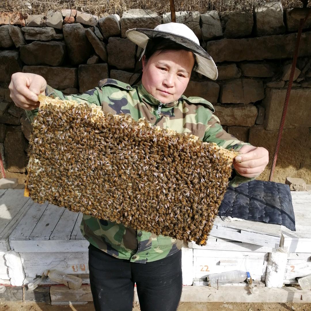 悉蜂堂（卖真蜜好蜜)