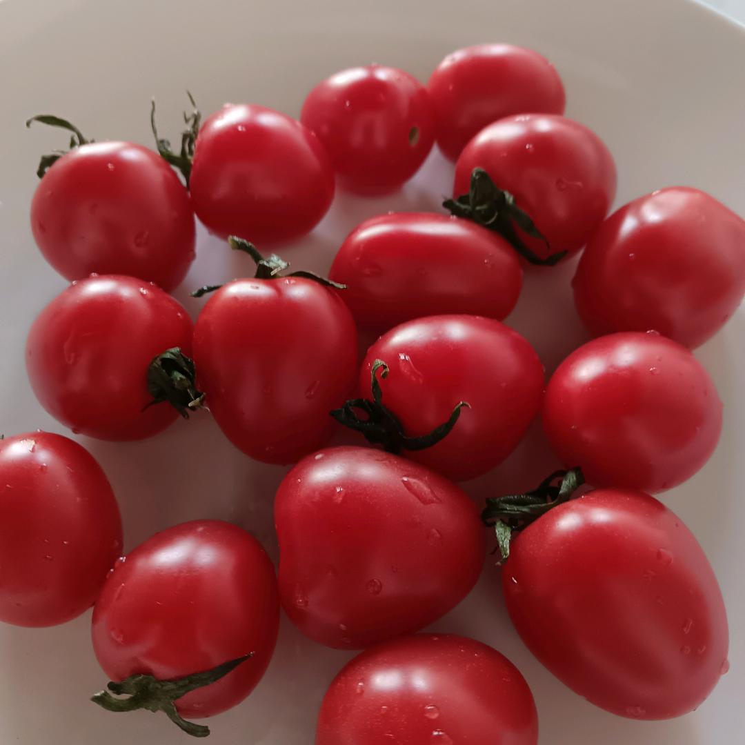 一朵儿小花，女