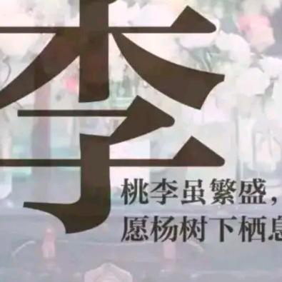 梦想人生