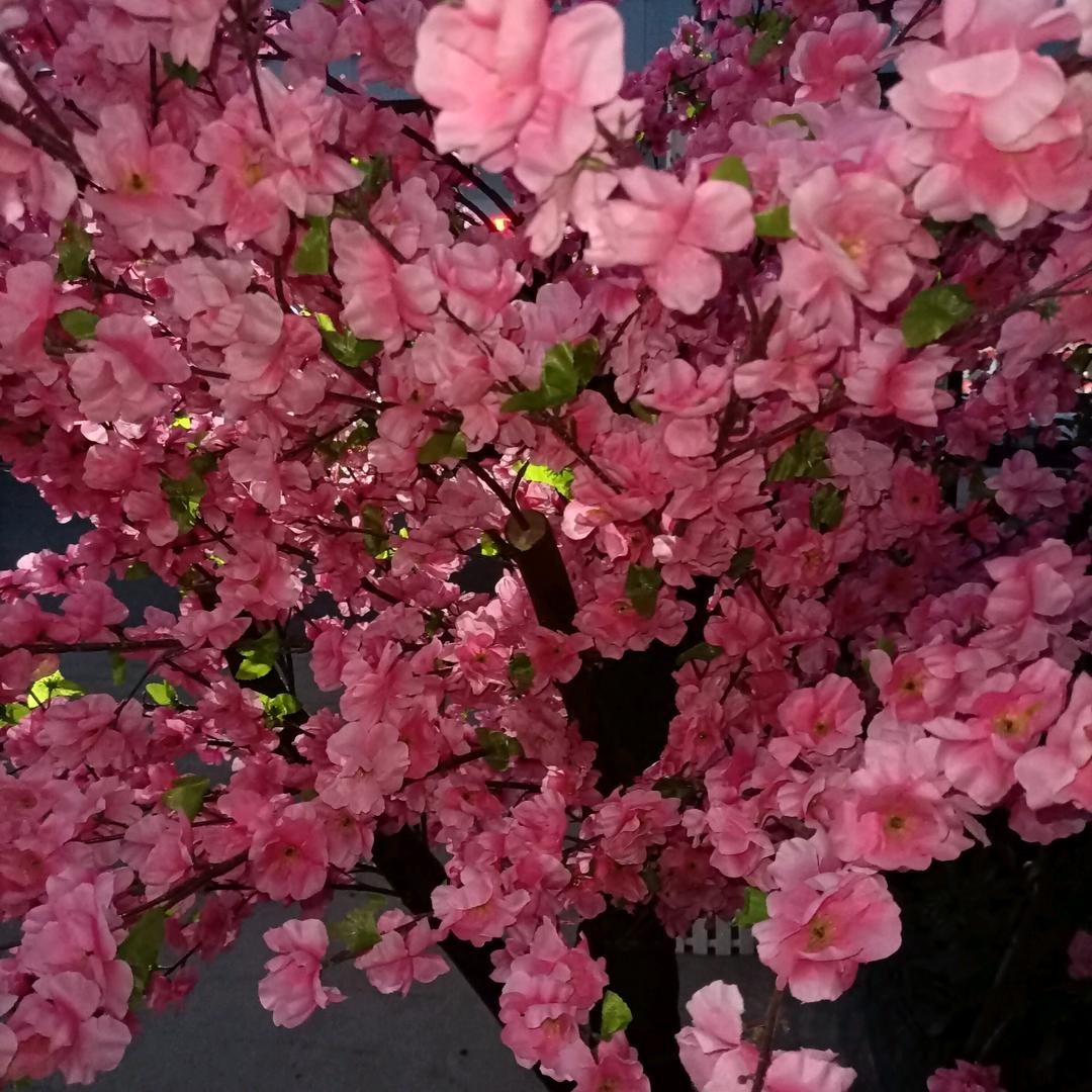 一路向阳