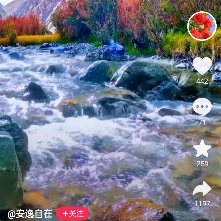 小燕