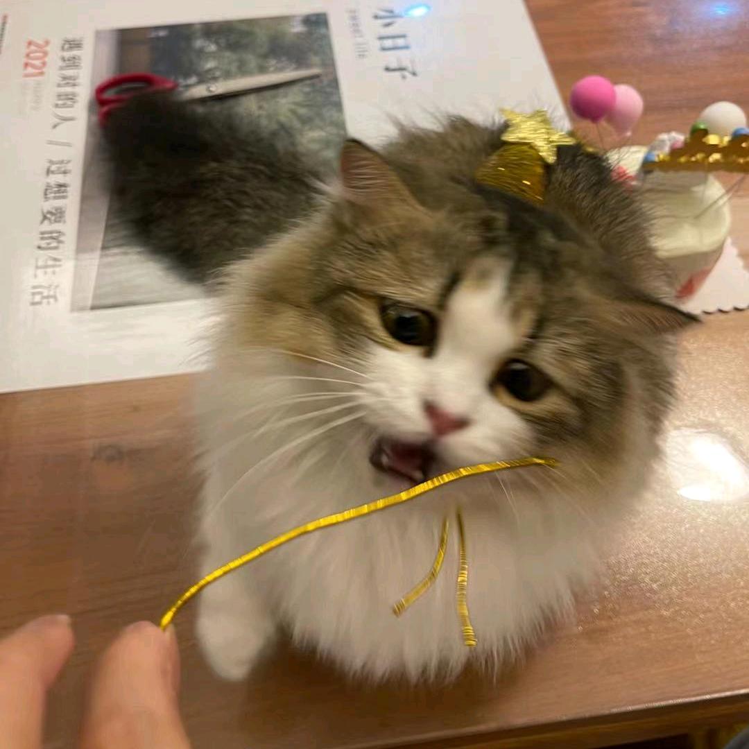 大帅哥！