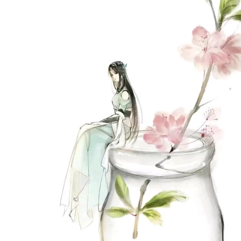 ✨晓女子不才⭐