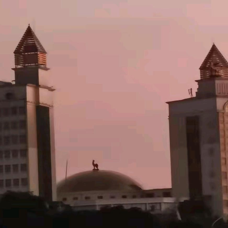 废电池