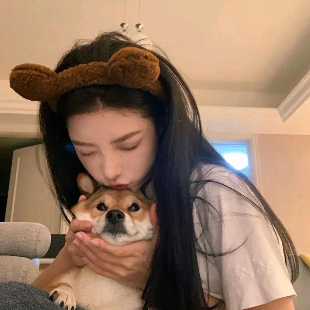 没眉毛的阿毛😺