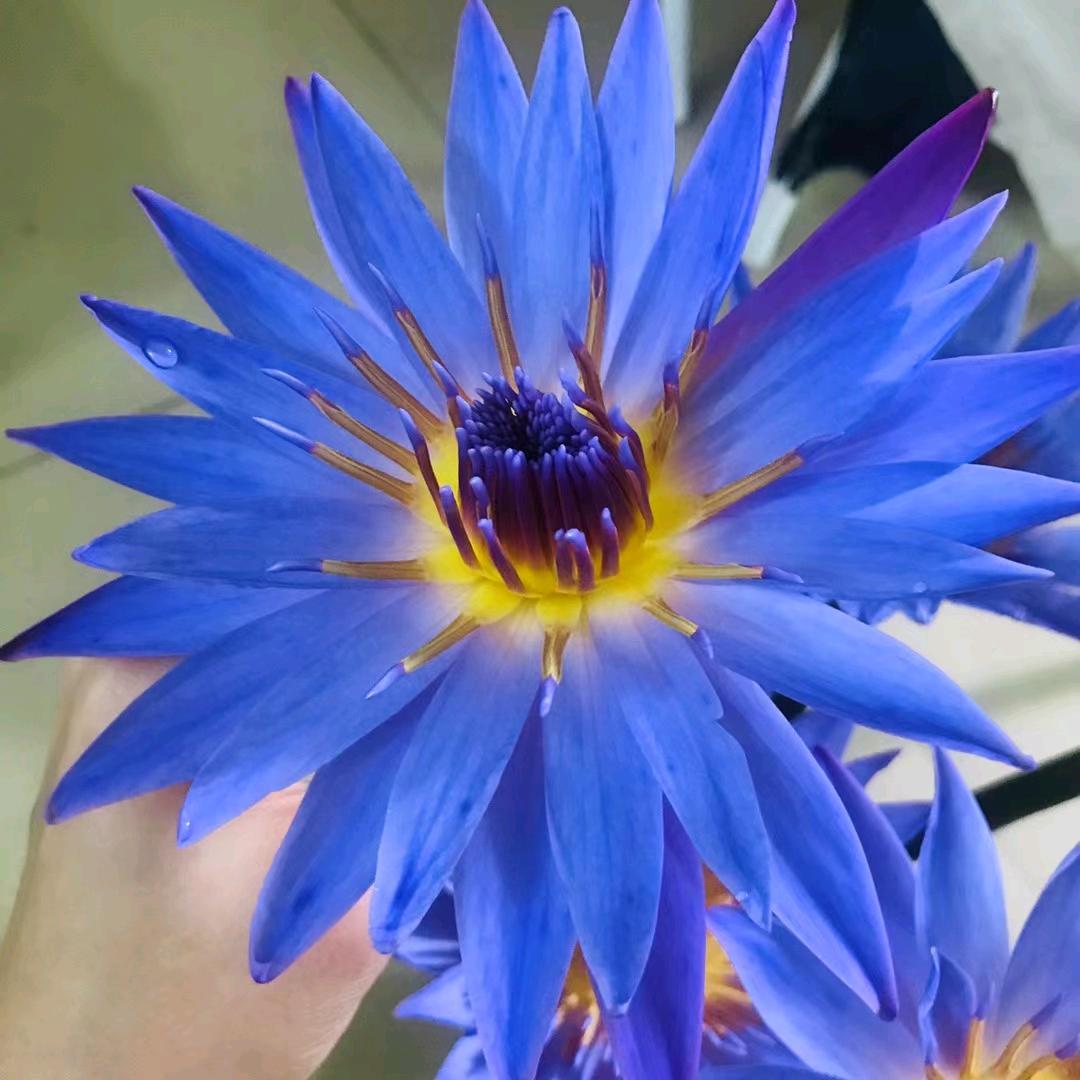 光明青少年服装广场