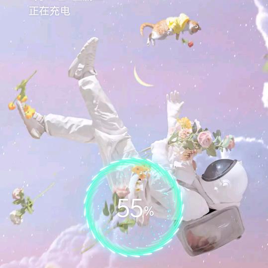 锦婷