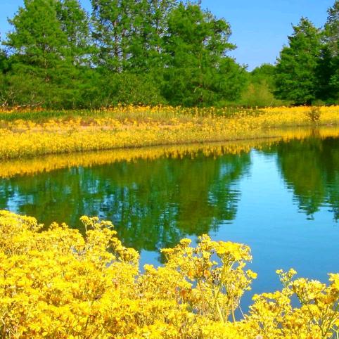 阳光总在风雨后
