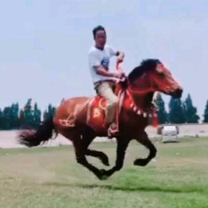 喜欢马的穷小子