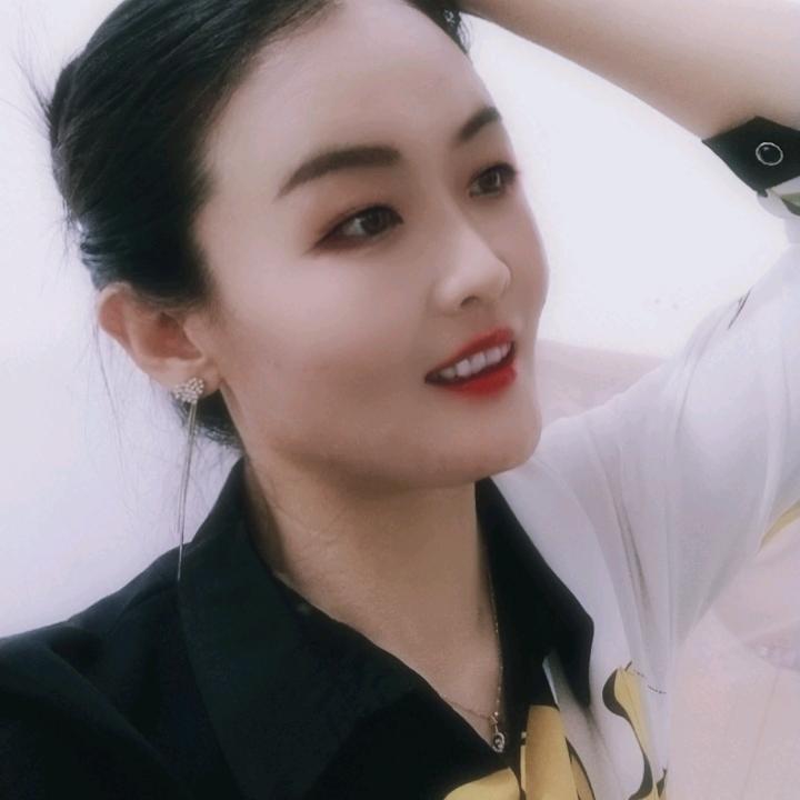 山东燕子