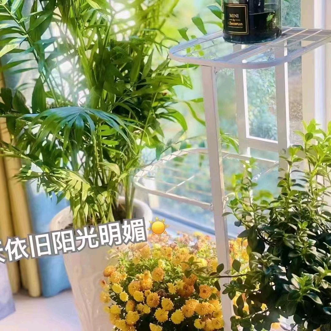 福满乾坤