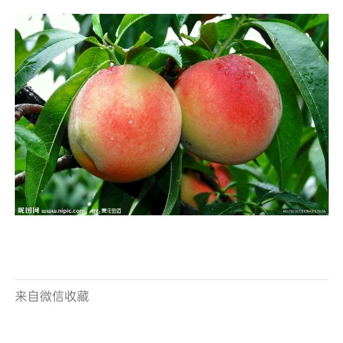 桃源