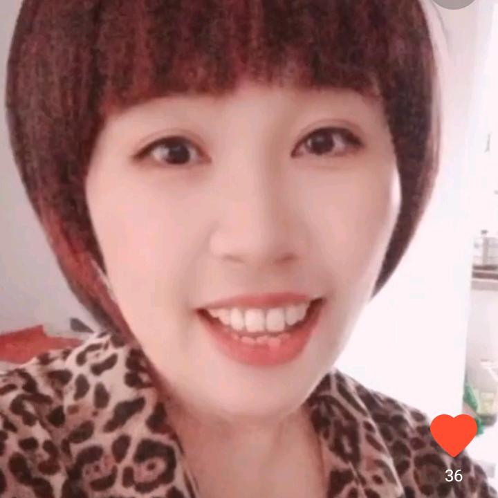 歌在飞