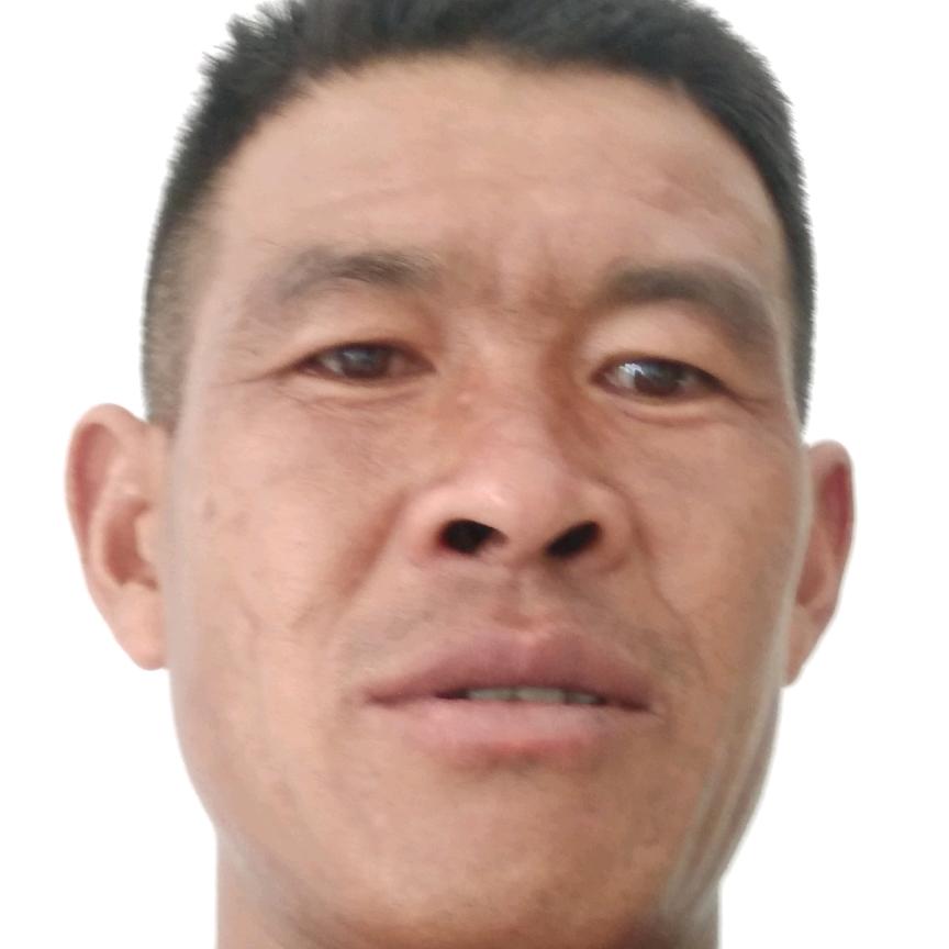 杨先先