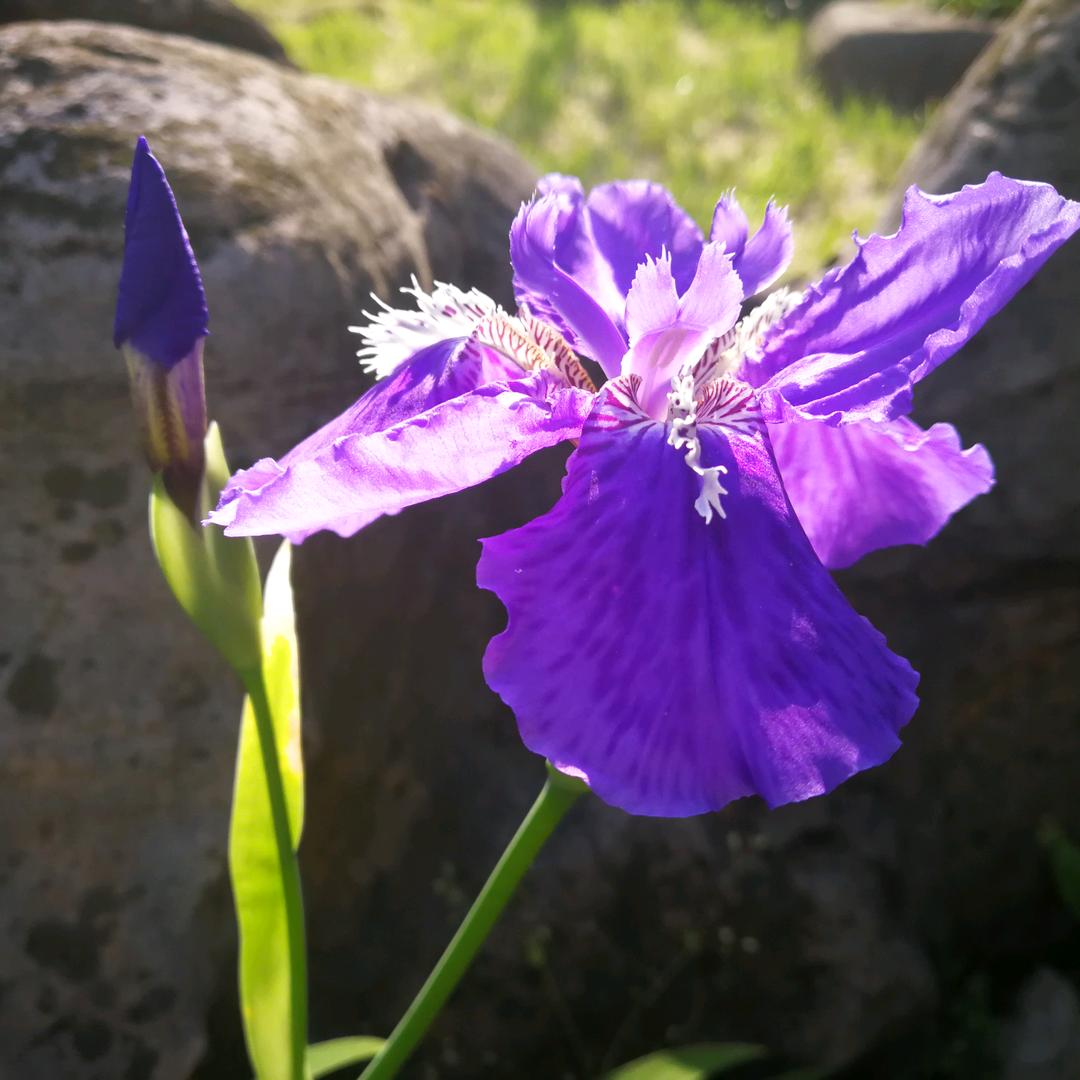 盱眙县第一山初级中学