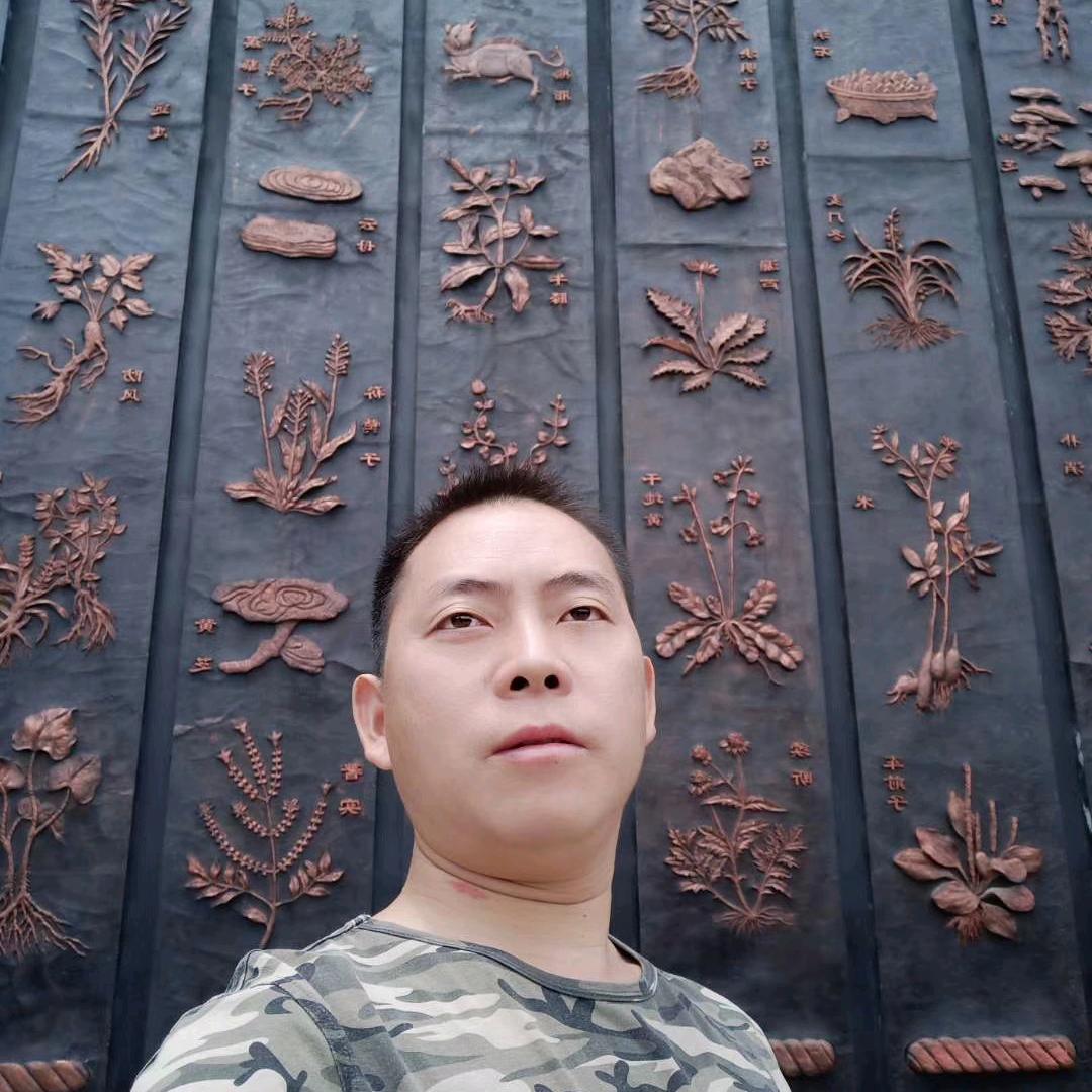 南宁市友仔猪肚鸡