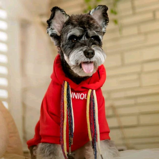 江戸川のコナン