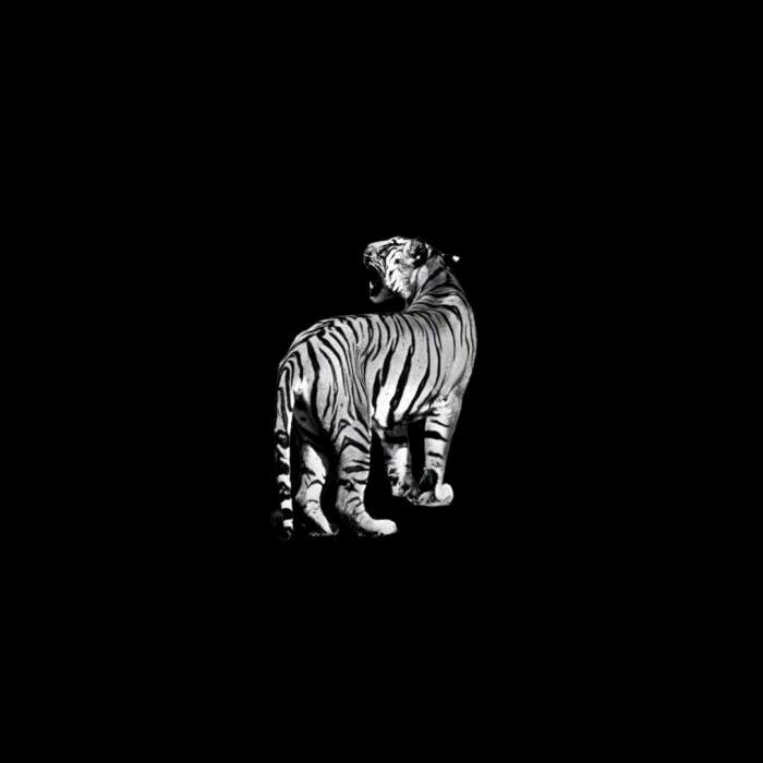 〆: ღ᭄無所畏惧ꦿ࿐ゾ