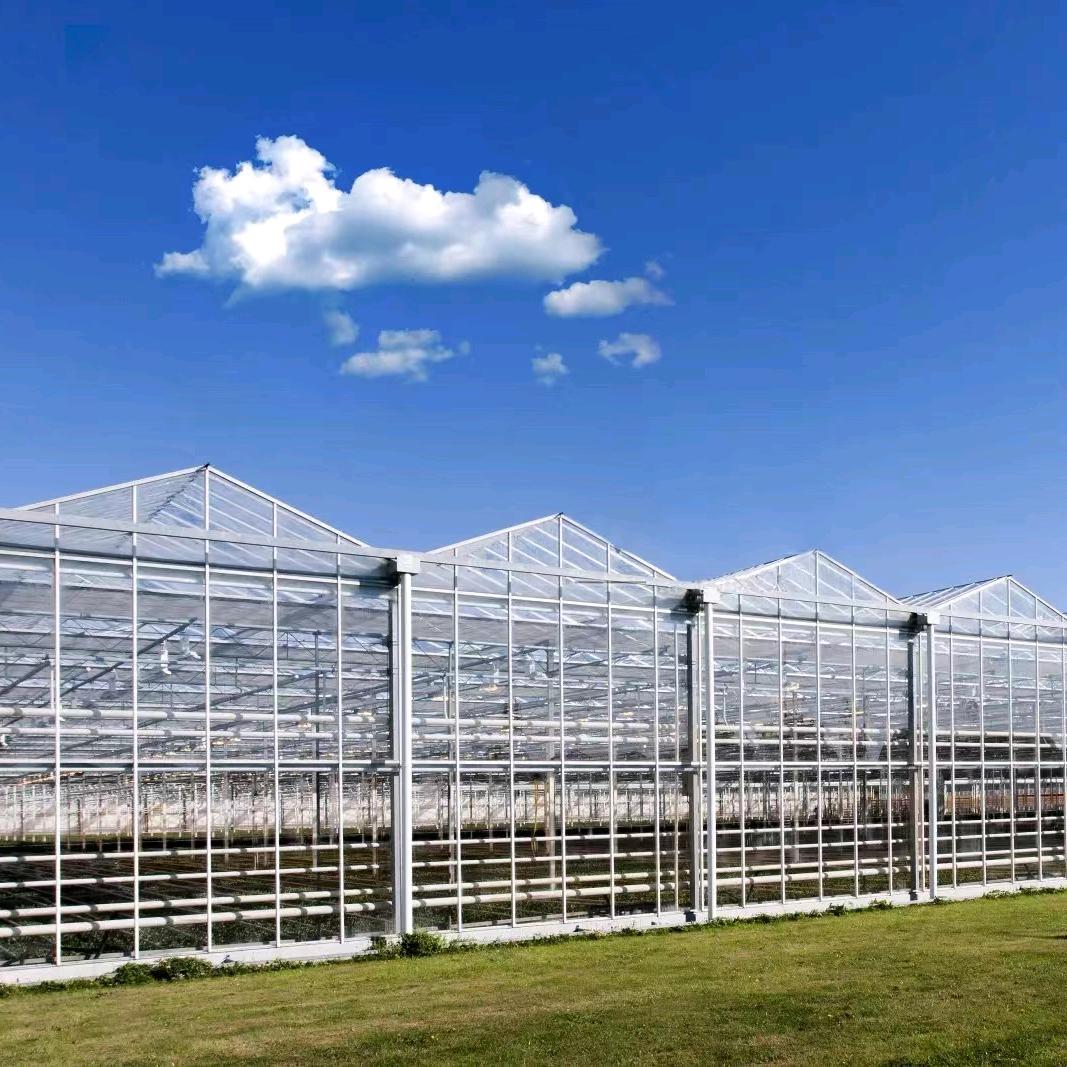 温室工程