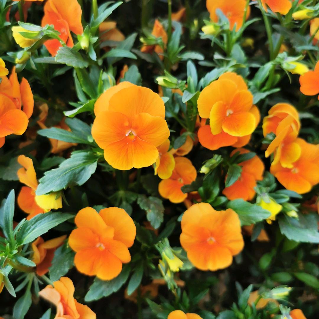 见山见海见自己