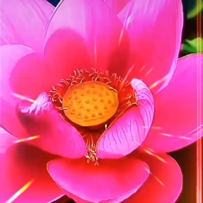 幸福。