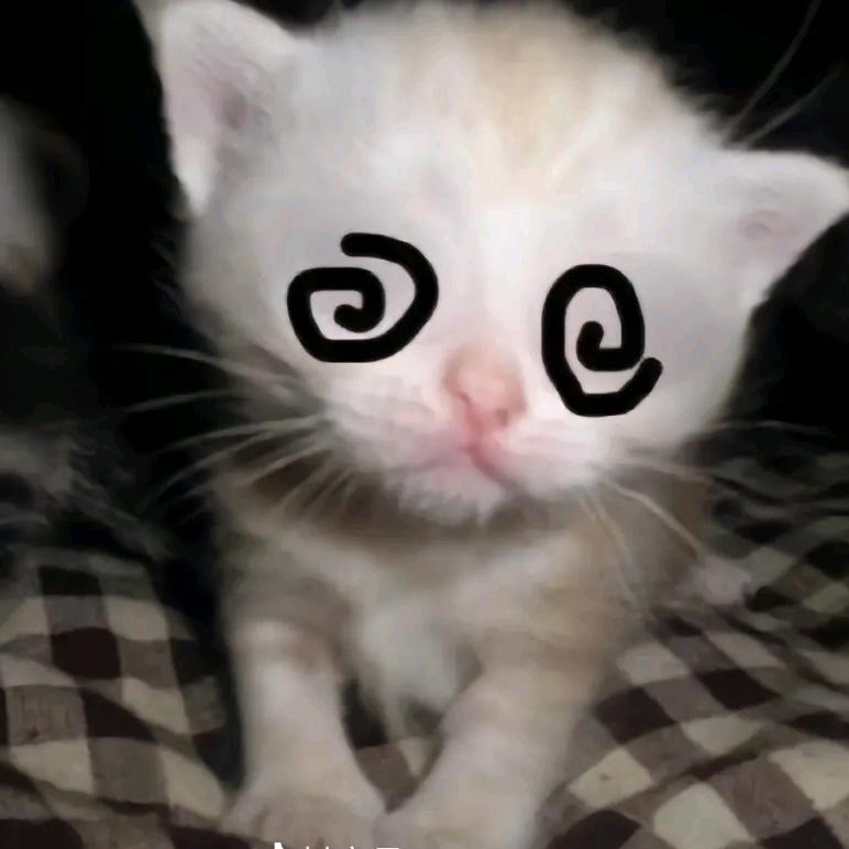 大秦琳婉儿（心碎版）