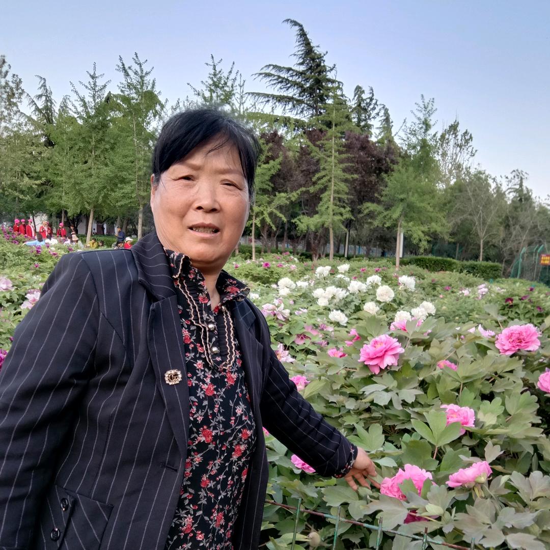 已重置