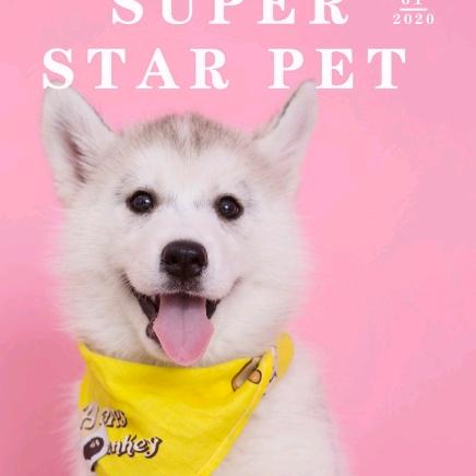 💞榴莲是只哈士奇