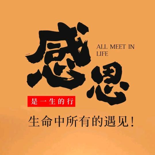 别抖了拔一下插头
