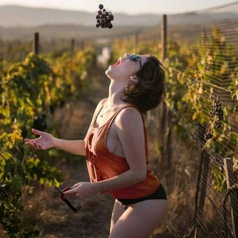 WINE WORLD