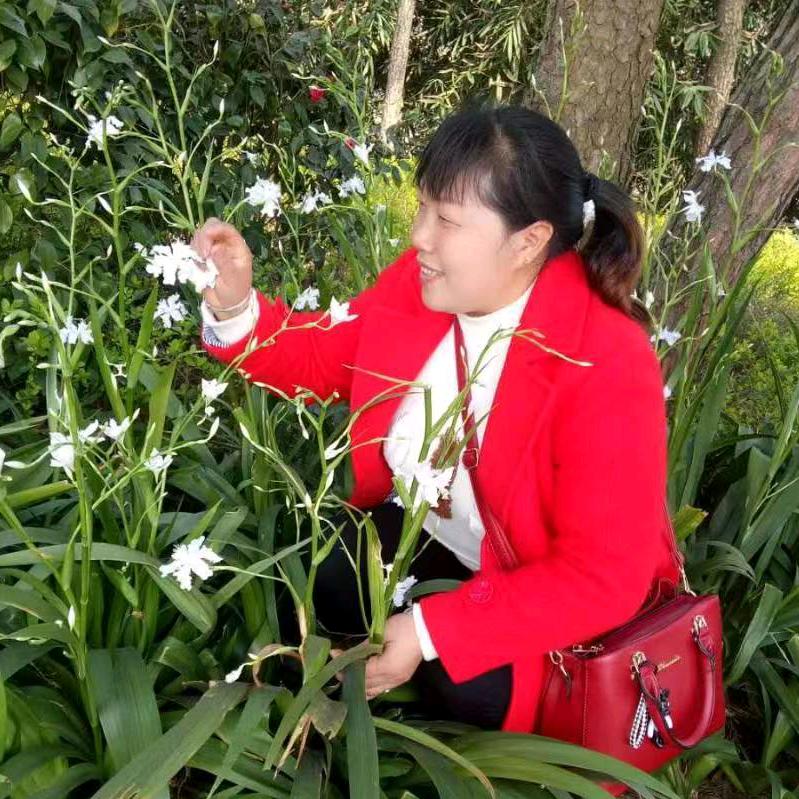 幺妹