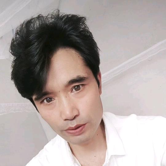 流浪的飞鹰