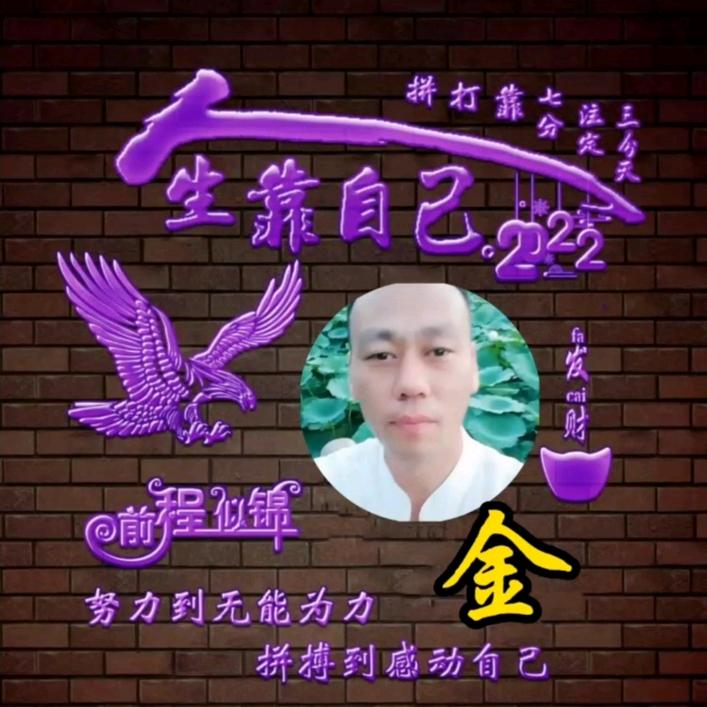 胜芳金哥