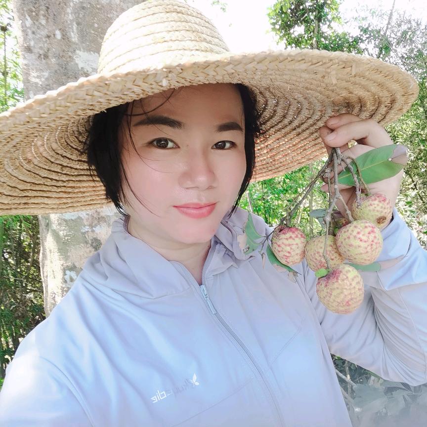 H小姐
