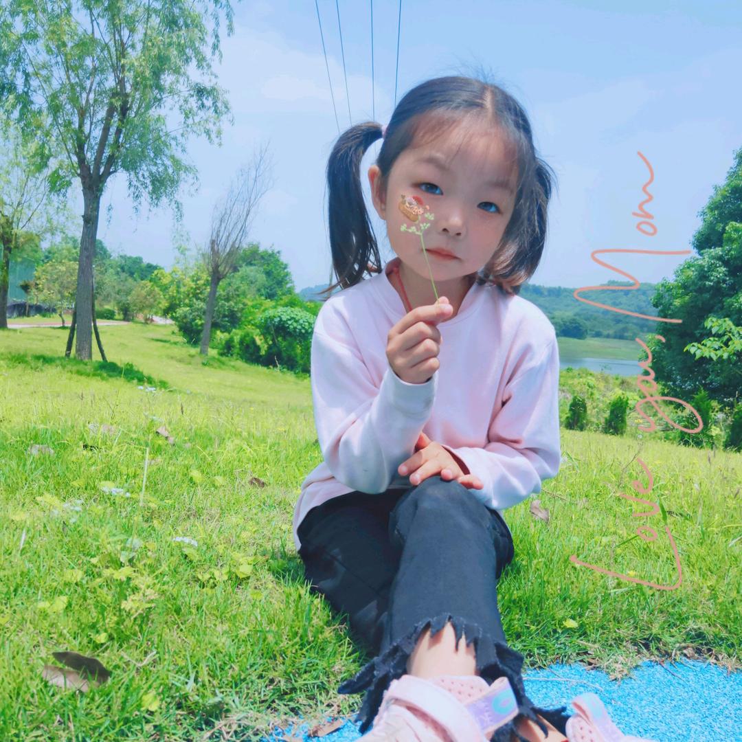 蓝玫瑰