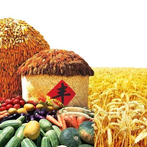 益德丰农业植保