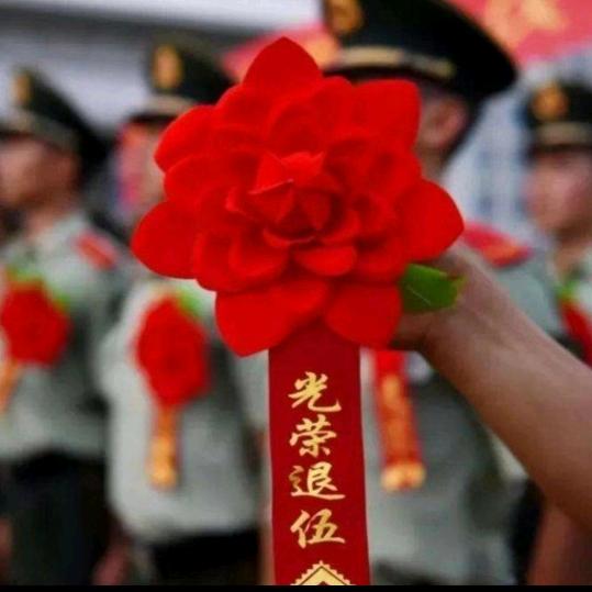 随意