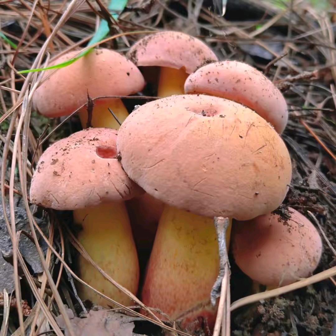 @🕊꧔ꦿ᭄余💞生有ℒℴѵℯ꧔ꦿ᭄你?