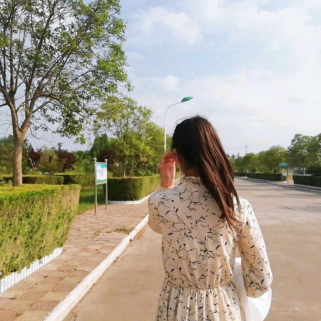 杉杉来了