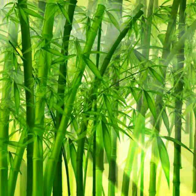夭天开心