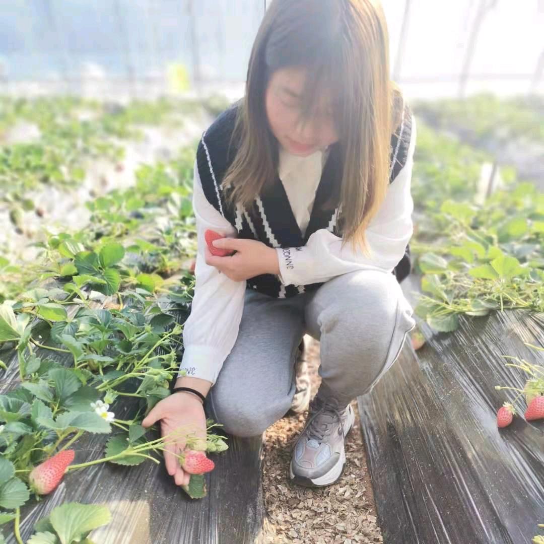 小太阳🔆